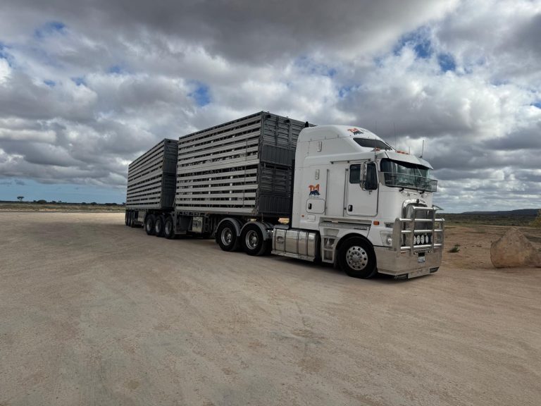 Haulage and Freight Gallery - Image 63