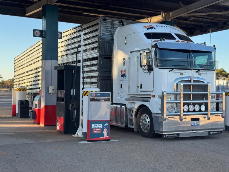 Haulage and Freight Gallery - Image 43