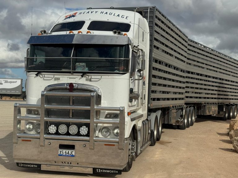 Haulage and Freight Gallery - Image 62